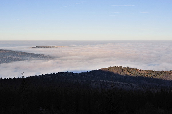 Bild Nr. 6